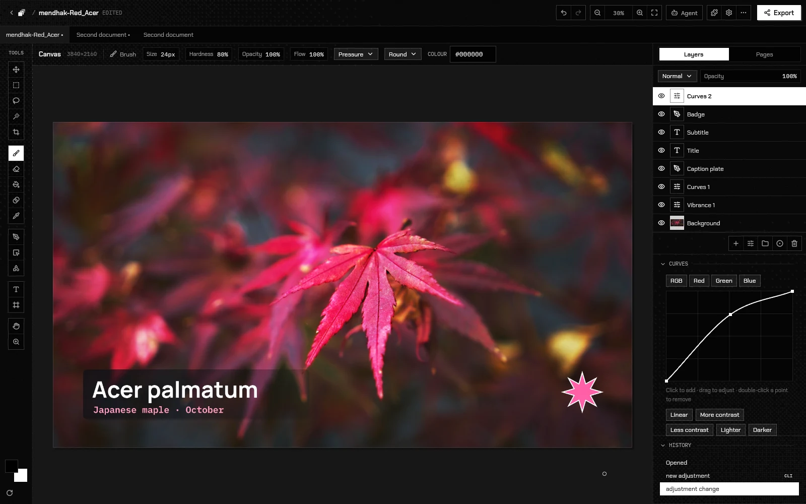 A photograph, vector artwork and text layers in nori.